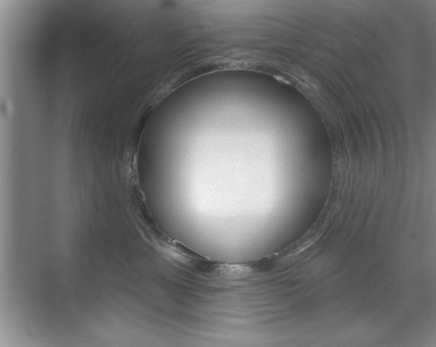 X0000073870429200608101112