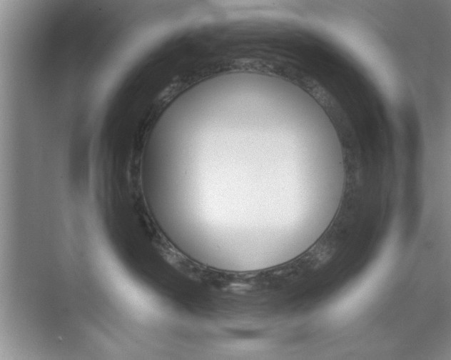 X0000073870430200608101112