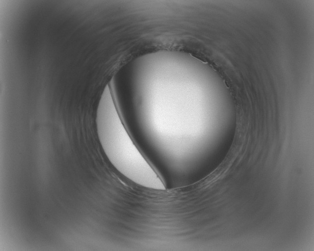 X0000073870432200608101112