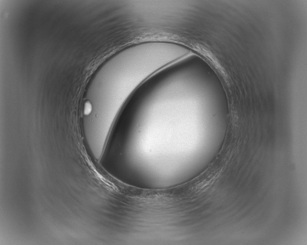 X0000073870433200608101111