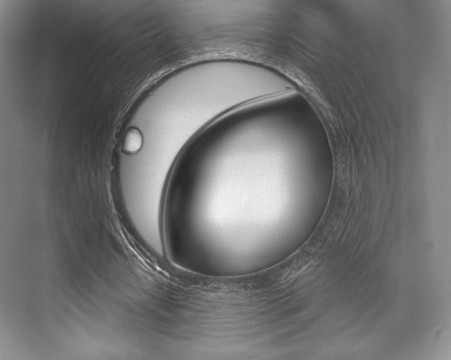 X0000073870434200608101111