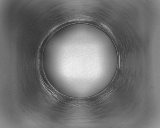 X0000073870435200608101111