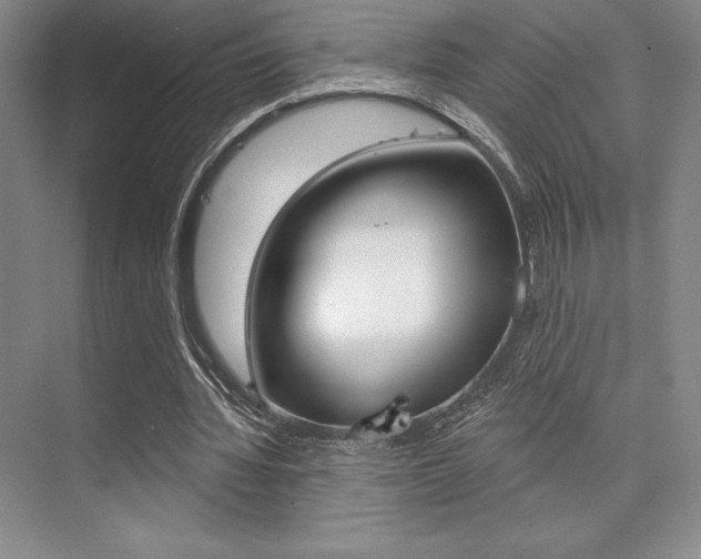 X0000073870436200608101111