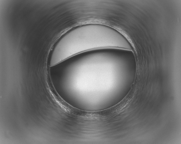 X0000073870437200608101111