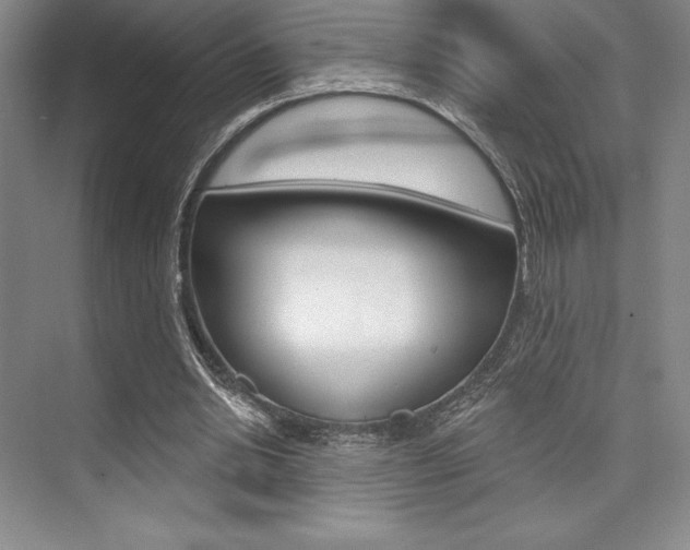 X0000073870438200608101111