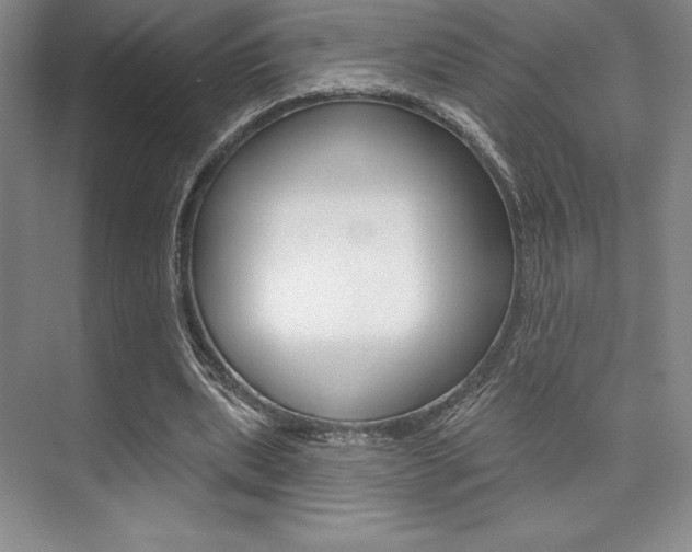 X0000073870439200608101111