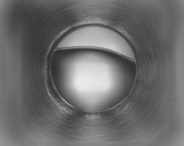 X0000073870440200608101111