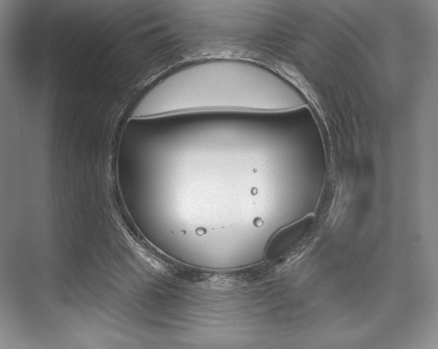 X0000073870441200608101111