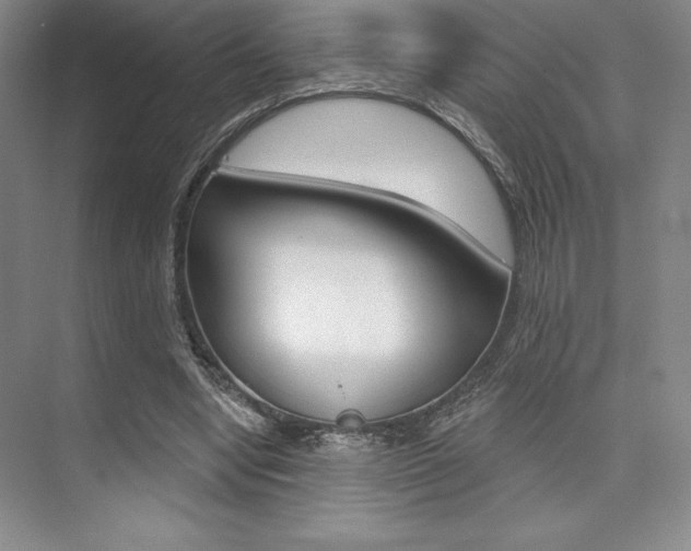 X0000073870442200608101111