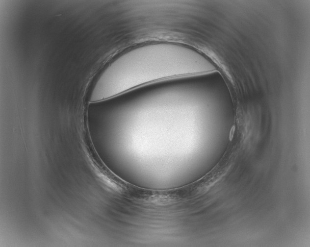 X0000073870445200608101111