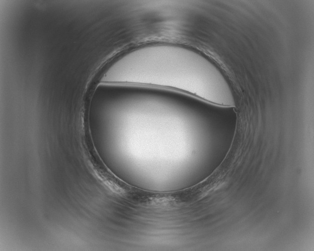 X0000073870446200608101111