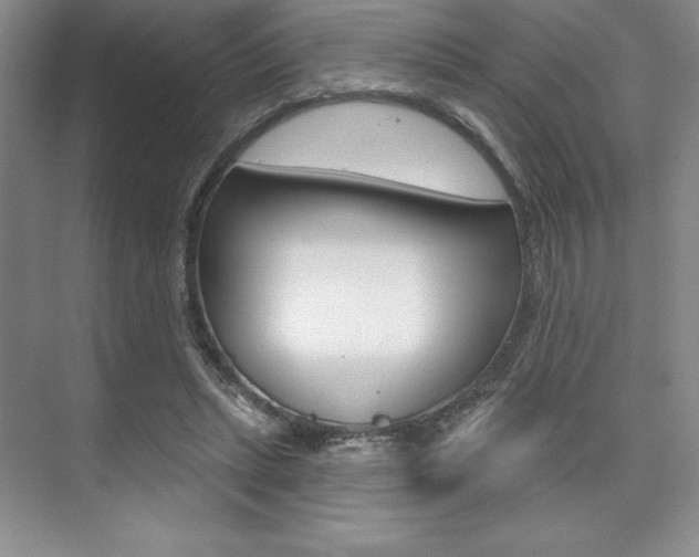 X0000073870447200608101111