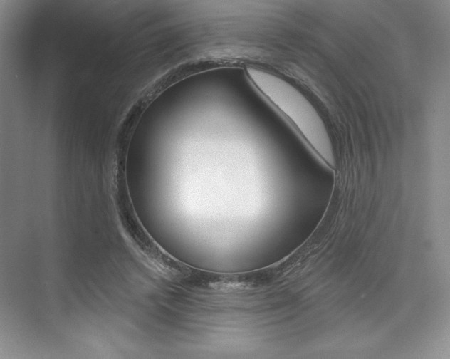 X0000073870448200608101111