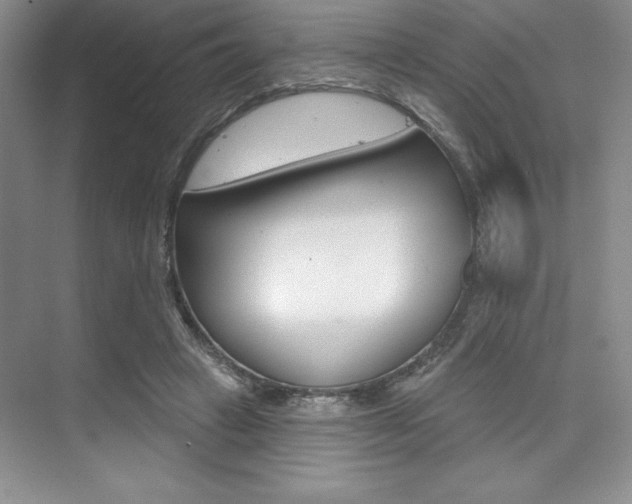 X0000073870449200608101111