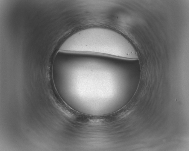 X0000073870450200608101111