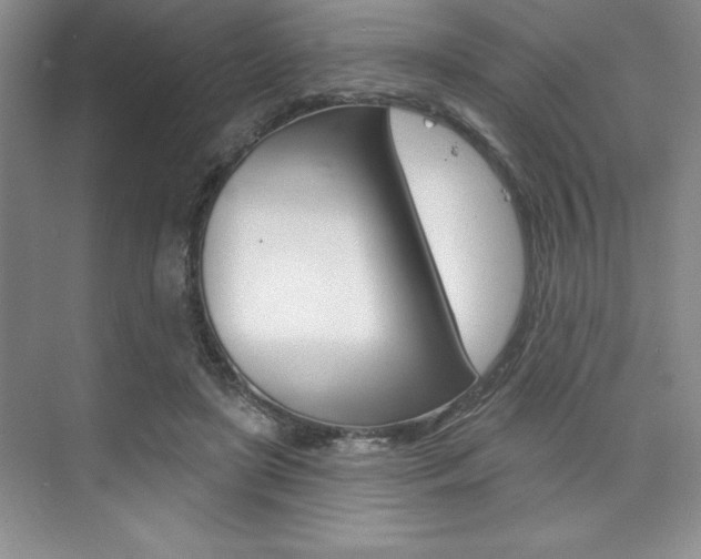 X0000073870451200608101111