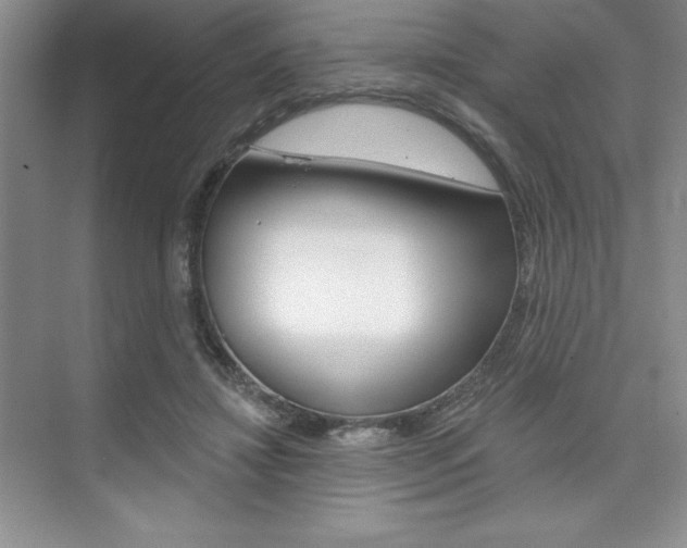 X0000073870452200608101111