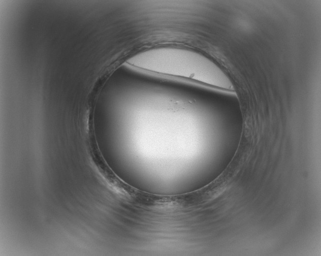 X0000073870454200608101111