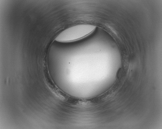 X0000073870455200608101111