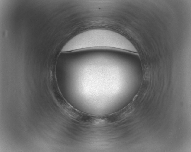 X0000073870456200608101111