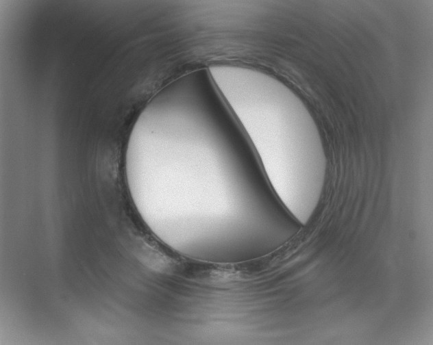 X0000073870458200608101111