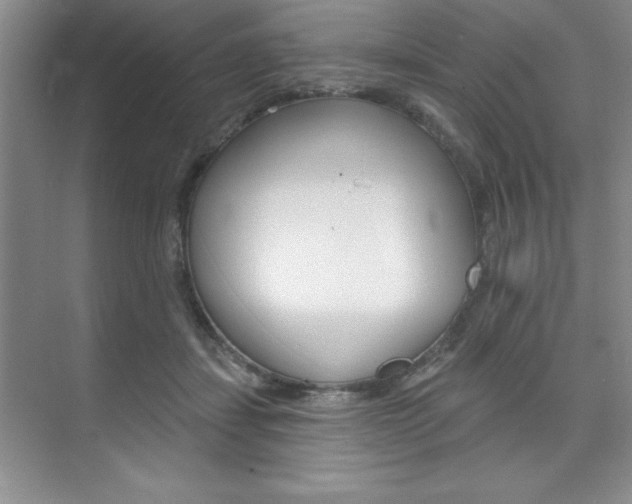 X0000073870459200608101111