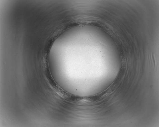 X0000073870460200608101111