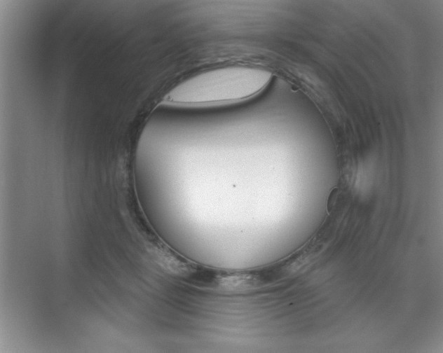 X0000073870461200608101111