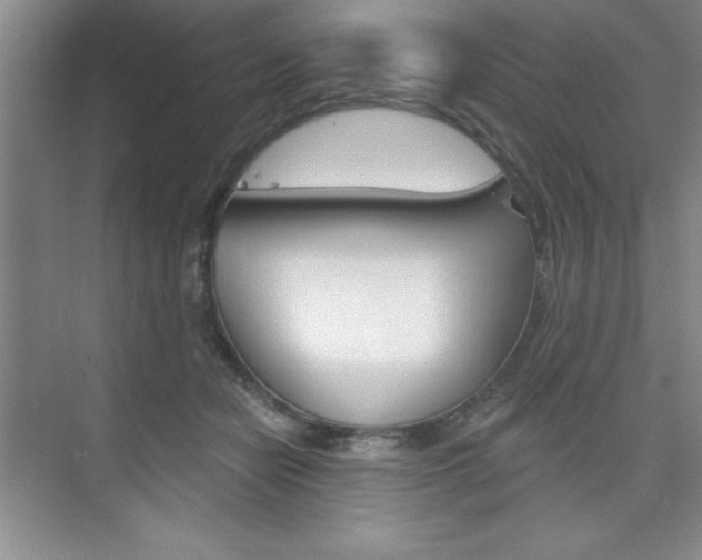 X0000073870462200608101111