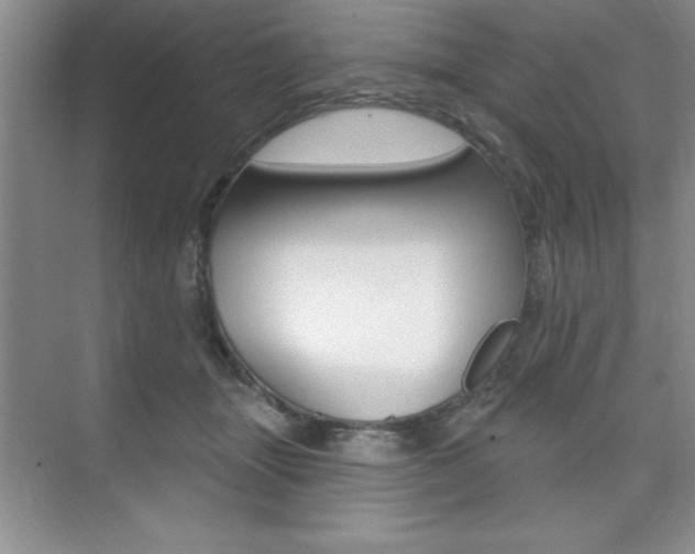 X0000073870463200608101111