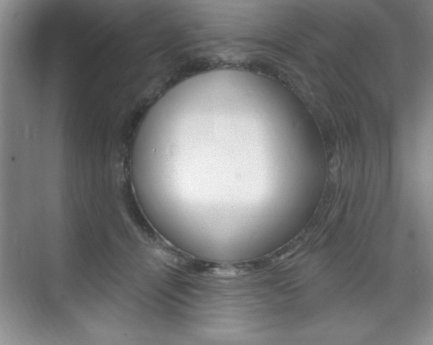 X0000073870464200608101111