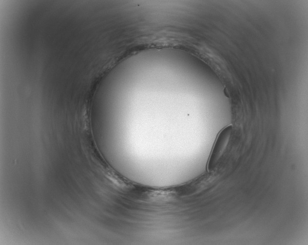 X0000073870465200608101111