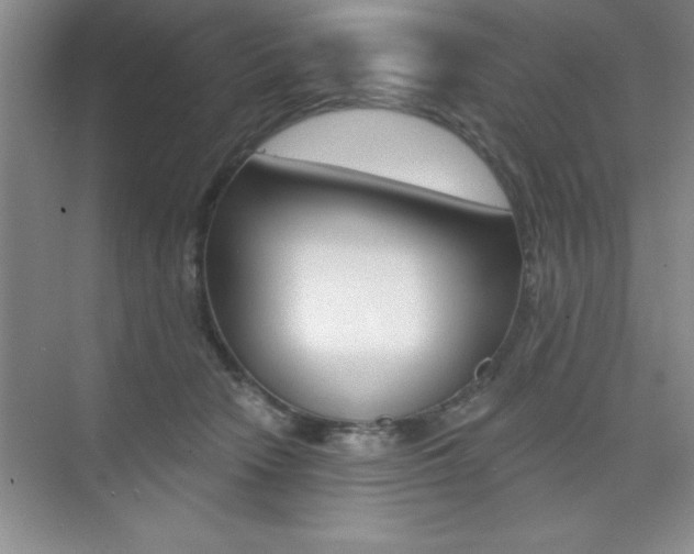 X0000073870466200608101111