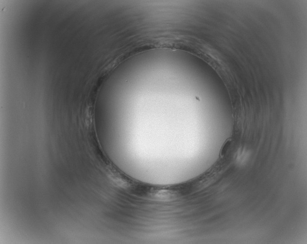 X0000073870467200608101111