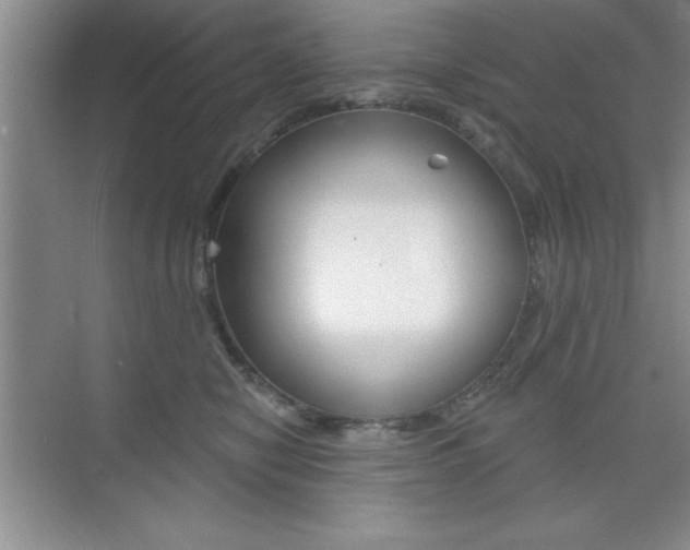 X0000073870470200608101111