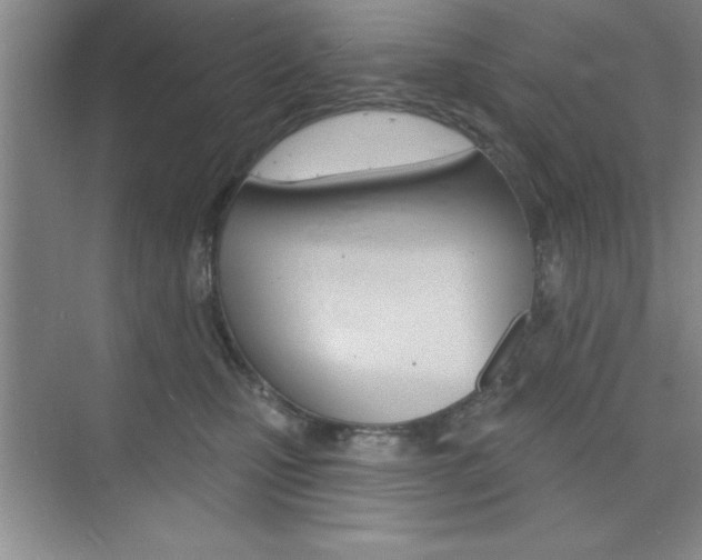 X0000073870471200608101111