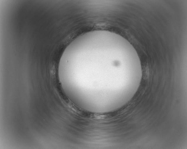 X0000073870472200608101111