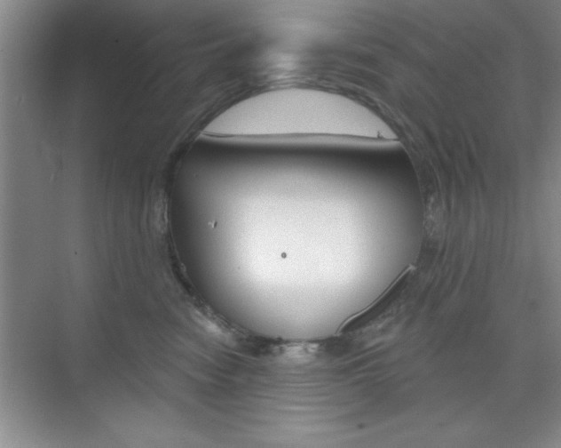 X0000073870474200608101112