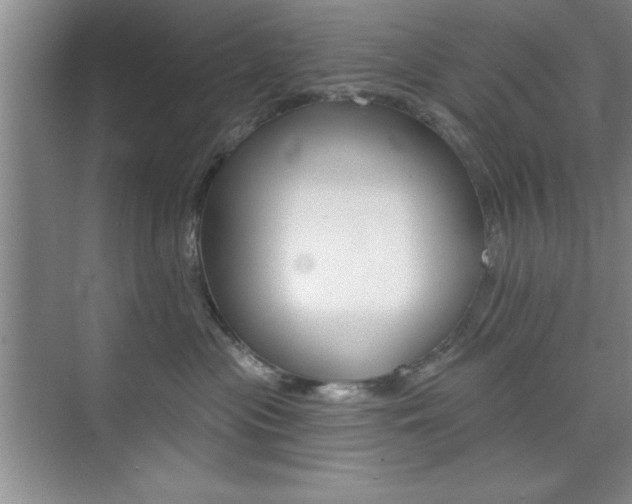 X0000073870477200608101112