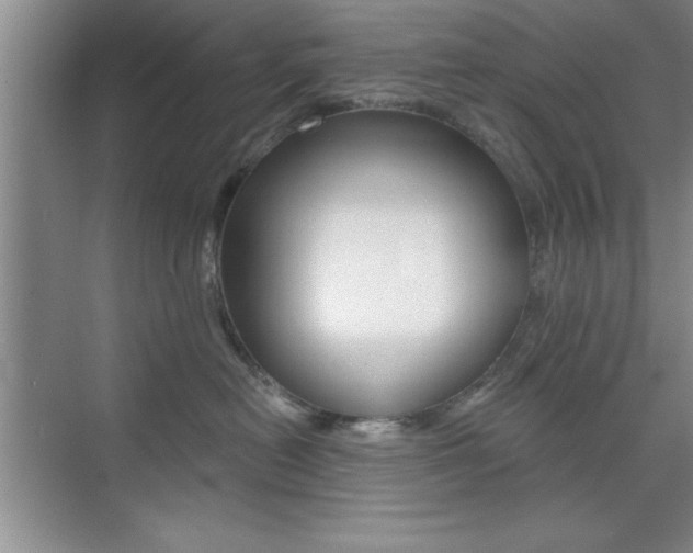 X0000073870478200608101112