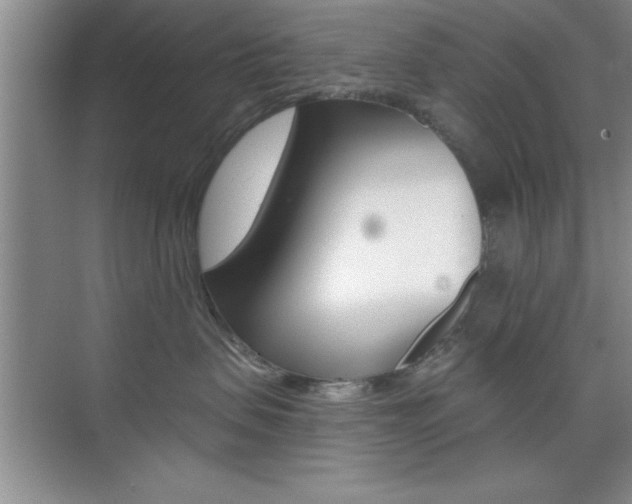 X0000073870479200608101112