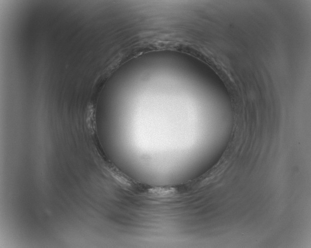 X0000073870480200608101112