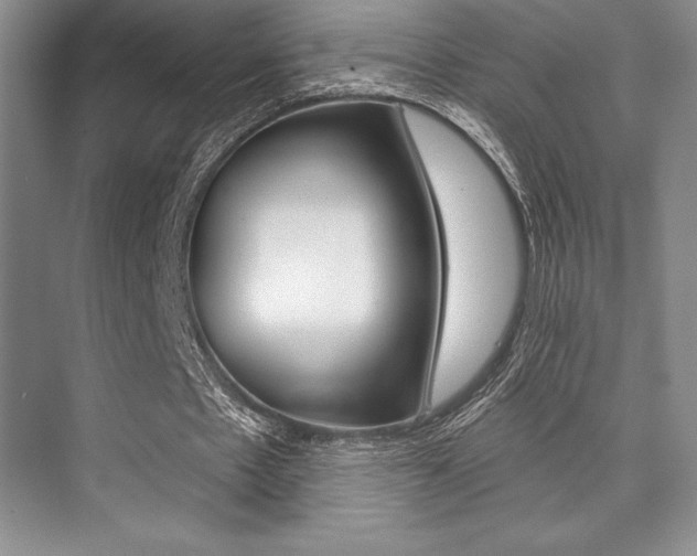 X0000073870481200608101111