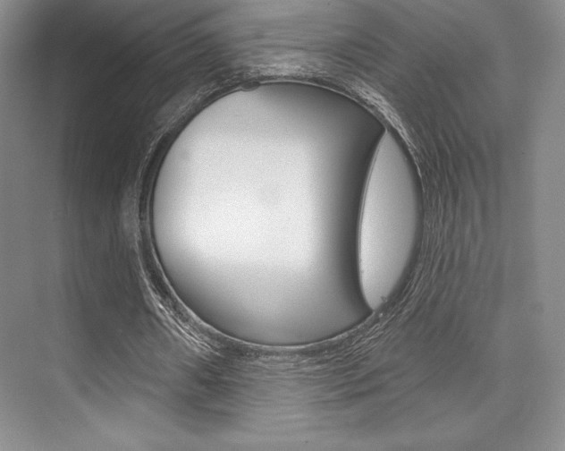 X0000073870482200608101111