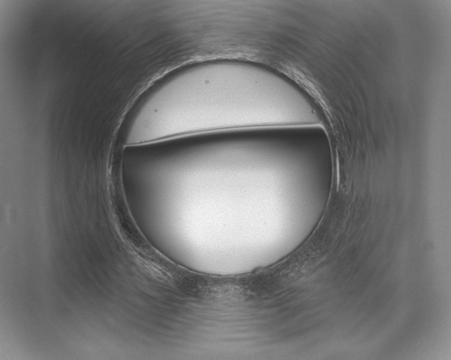 X0000073870483200608101111