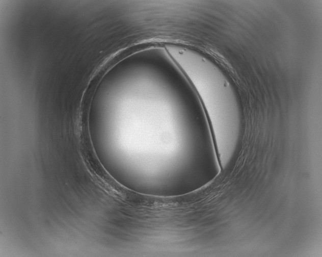 X0000073870484200608101111