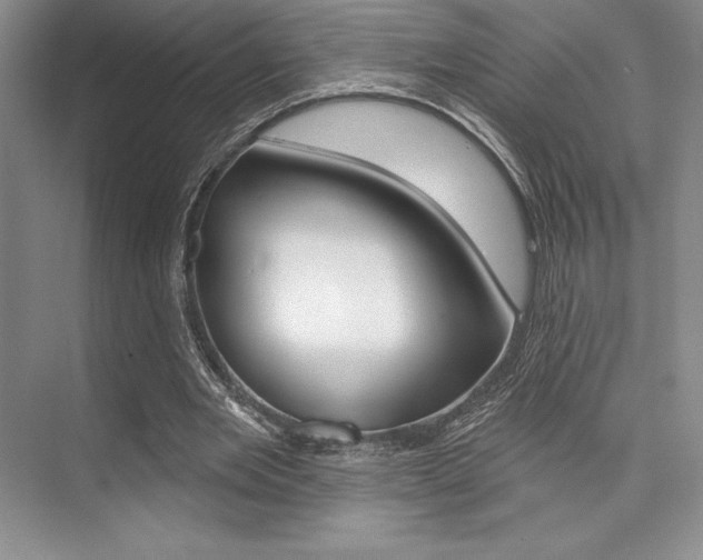 X0000073870485200608101111