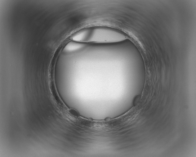 X0000073870487200608101111