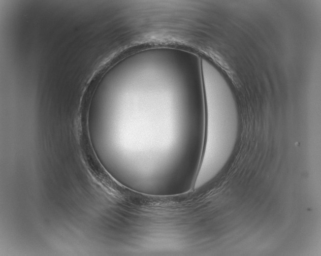 X0000073870488200608101111