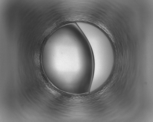 X0000073870489200608101111